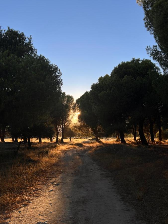 Posada Rural La Resinera La Adrada Exteriér fotografie