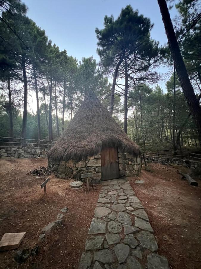 Posada Rural La Resinera La Adrada Exteriér fotografie