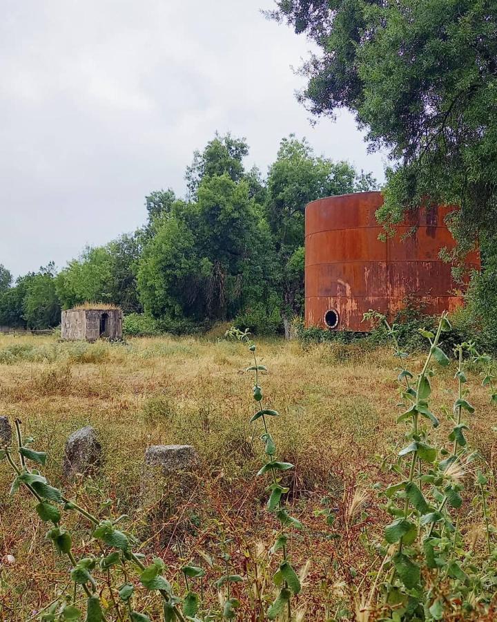 Posada Rural La Resinera La Adrada Exteriér fotografie