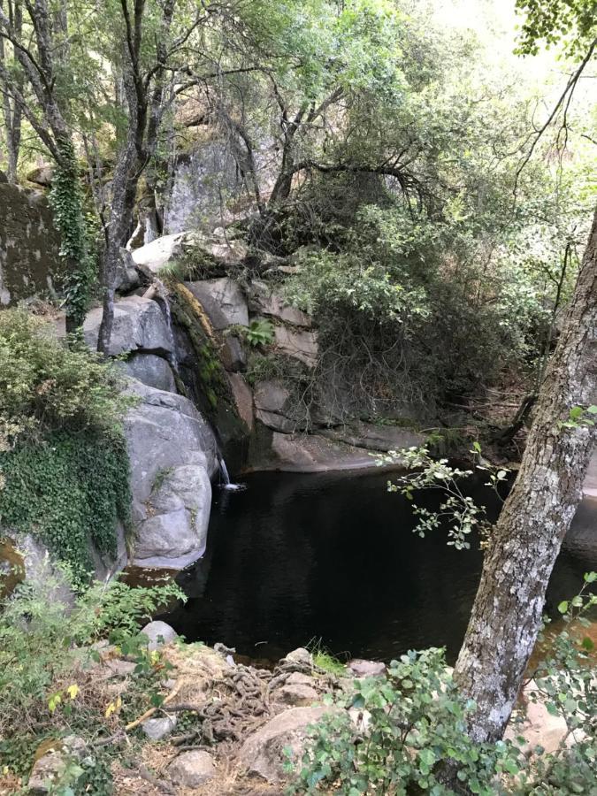 Posada Rural La Resinera La Adrada Exteriér fotografie