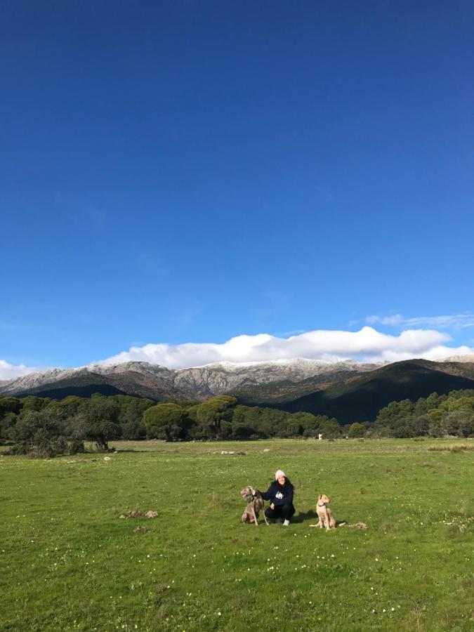Posada Rural La Resinera La Adrada Exteriér fotografie